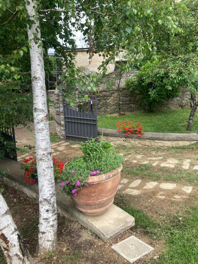 “Da Paolino” Villa Borgo alla Collina ภายนอก รูปภาพ