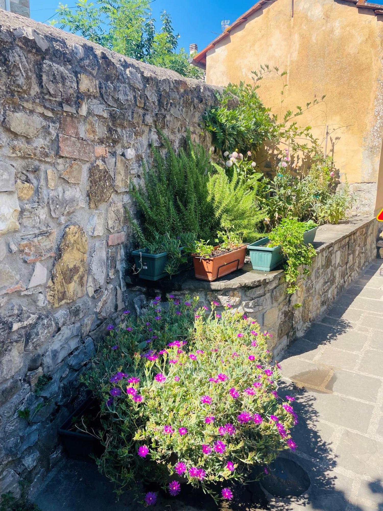 “Da Paolino” Villa Borgo alla Collina ภายนอก รูปภาพ